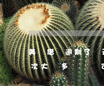 美團借錢逾期了幾天能測出(美團借錢逾期一次大約多長時間可以繼續(xù)借款)