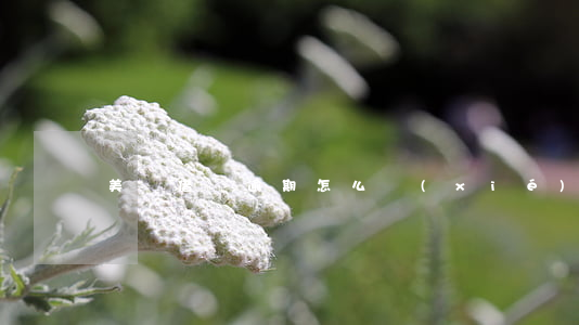 美團借錢逾期怎么協(xié)商還款