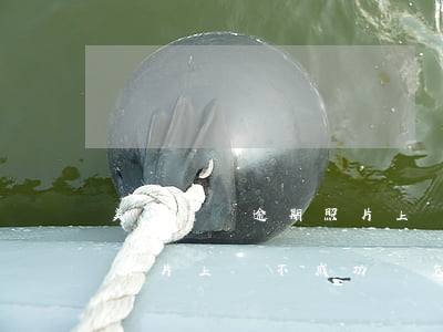 美團借錢逾期照片上傳不成功(美團借錢逾期照片上傳不成功會怎么樣)