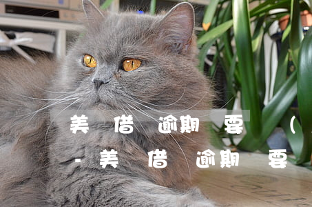 美團借錢逾期說要凍結(jié)我的資金-美團借錢逾期說要凍結(jié)我的資金是真的嗎