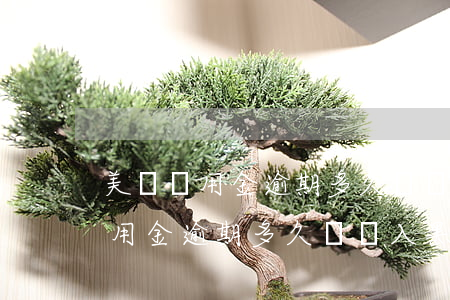 美團備用金逾期多久會納入黑名單-美團備用金逾期多久會納入黑名單了