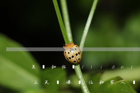 美團和招聯(lián)逾期(美團借錢逾期三天會爆單位和家人電話嗎)