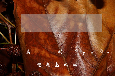 美團嘗鮮特權(quán)逾期怎么還-美團逾期怎么做