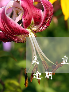 美團嚴重逾期會強制上門清繳嘛-美團嚴重逾期會強制上門清繳嘛