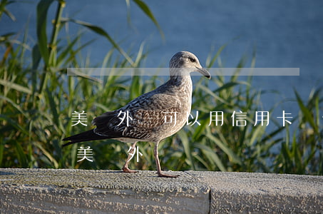 美團外賣可以用信用卡嗎（信用卡逾期可以跑美團外賣嗎）