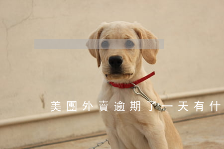 美團外賣逾期了一天有什么影響-