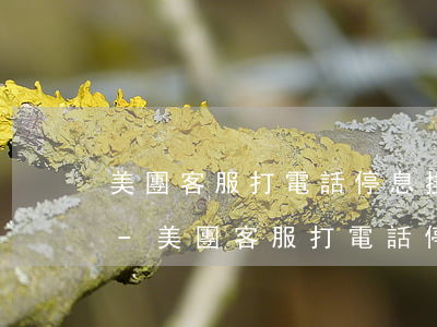 美團客服打電話停息掛賬臨時額度是真的嗎-美團客服打電話停息掛賬臨時額度是真的嗎