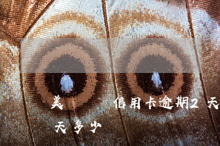 美團廈門信用卡逾期2天(美團信用卡逾期兩天多少錢)