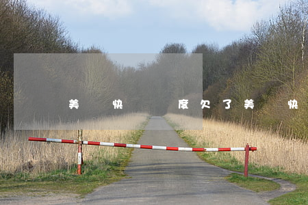 美團快貸額度欠了(美團快貸app)