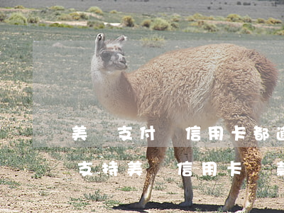 美團支付寶信用卡都逾期了(為什么支付寶不支持美團信用卡還款)