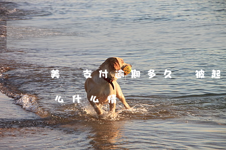 美團支付逾期多久會被起訴(美團逾期起訴什么什么情況)