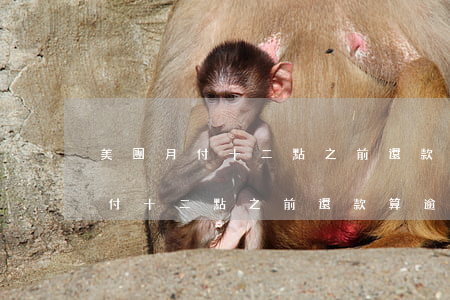 美團月付十二點之前還款算逾期嗎-美團月付十二點之前還款算逾期嗎怎么辦
