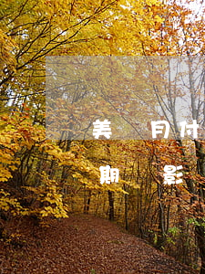 美團月付逾期一個月影響征信嗎(美團月付逾期會影響美團生活費嗎?)