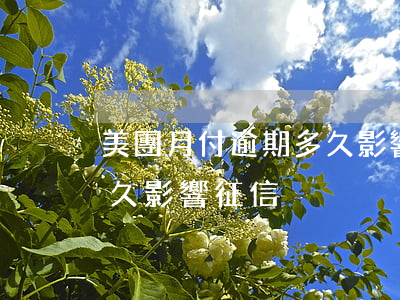 美團月付逾期多久影響征信(美團月付逾期多久影響征信)