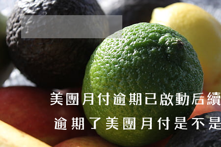 美團月付逾期已啟動后續(xù)程序(美團逾期了美團月付是不是用不了了)