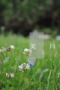 美團月付逾期能不能申請分期還款