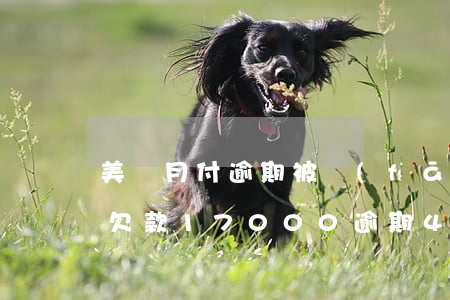 美團月付逾期被發(fā)來起訴短信 美團欠款17000逾期4個月發(fā)短信說進去開庭