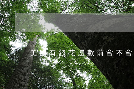 美團有錢花還款前會不會發(fā)短信-