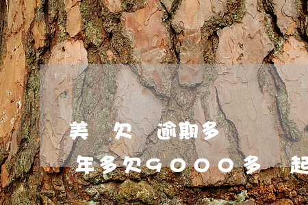 美團欠錢逾期多長時間會被起訴(美團逾期一年多欠9000多會起訴我不)