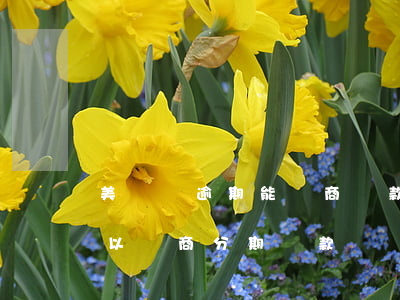 美團沒逾期能協商還款嗎(美團逾期半年了可以協商分期還款嗎)