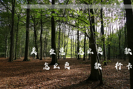 美團生意貸怎么更換還款銀行卡-美團生意貸怎么更換還款銀行卡號