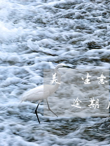 美團生意貸逾期1天什么時候恢復(美團生意貸逾期后還完逾期了還讓還全款怎么辦)