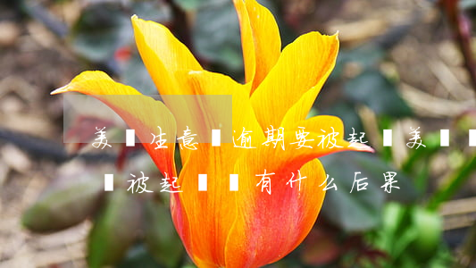美團生意貸逾期要被起訴(美團貸款逾期多久會被起訴會有什么后果)