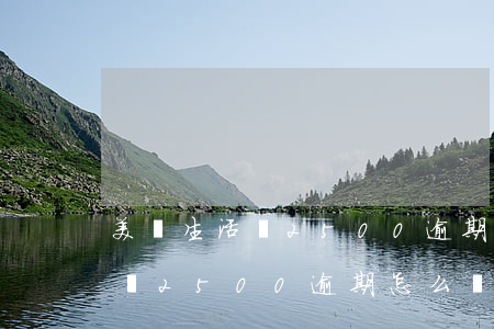美團生活費2500逾期怎么辦-美團生活費2500逾期怎么辦理