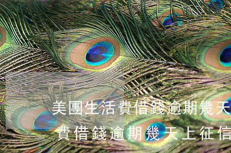 美團生活費借錢逾期幾天上征信-美團生活費借錢逾期幾天上征信啊