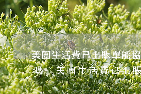 美團生活費已出賬單能協(xié)商還款嗎-美團生活費已出賬單能協(xié)商還款嗎安全嗎
