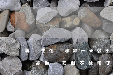 美團生活費逾期一天就不能用了-美團生活費逾期一天就不能用了怎么辦