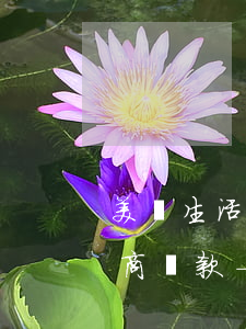 美團生活費逾期一年多了,如何協(xié)商還款-美團生活費逾期一年多了,如何協(xié)商還款呢