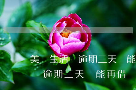 美團生活費逾期三天還能再借嗎-美團生活費逾期三天還能再借嗎安全嗎