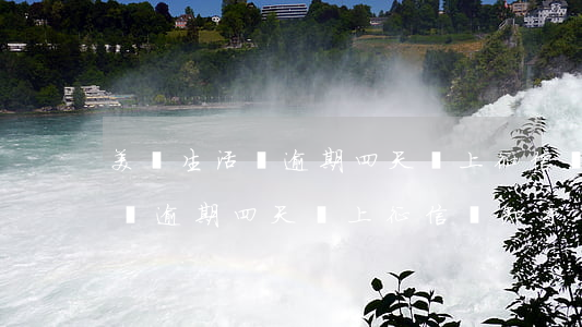 美團生活費逾期四天會上征信嗎-美團生活費逾期四天會上征信嗎知乎