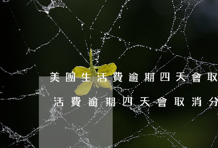 美團生活費逾期四天會取消分期嗎-美團生活費逾期四天會取消分期嗎怎么辦