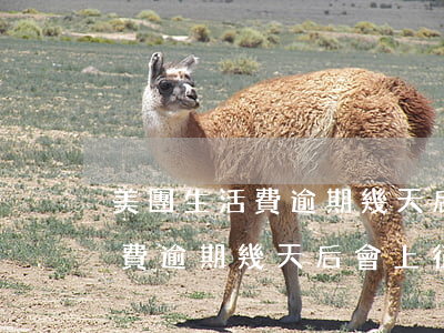 美團生活費逾期幾天后會上征信-美團生活費逾期幾天后會上征信嗎