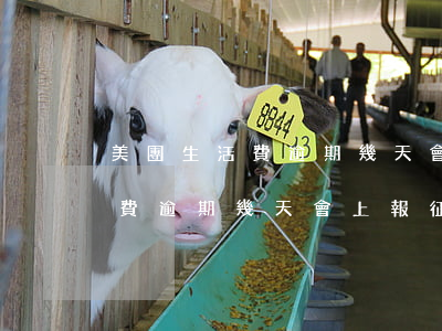 美團生活費逾期幾天會上報征信-美團生活費逾期幾天會上報征信記錄