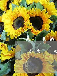 美團生活費逾期會不會起訴(美團生活費逾期多久會被起訴會有什么后果)
