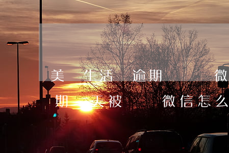 美團生活費逾期會凍結微信嗎 美團生活費逾期幾天被凍結微信怎么辦