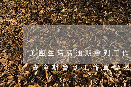 美團生活費逾期會到工作單位么-美團生活費逾期會到工作單位么