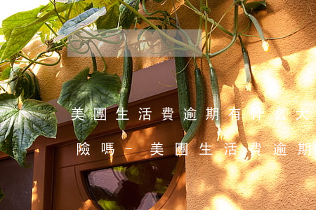 美團生活費逾期有什么大的風(fēng)險嗎-美團生活費逾期有什么大的風(fēng)險嗎知乎