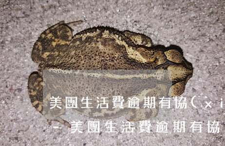 美團生活費逾期有協(xié)商成功的嗎-美團生活費逾期有協(xié)商成功的嗎是真的嗎