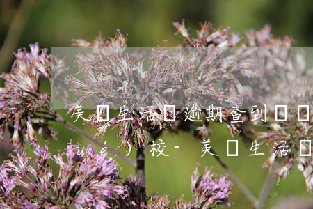 美團生活費逾期查到畢業(yè)的學(xué)校-美團生活費逾期會去戶籍所在地核實情況嗎?