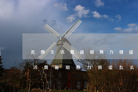 美團生活費逾期無力償還怎么處理-美團生活費逾期無力償還怎么處理呢