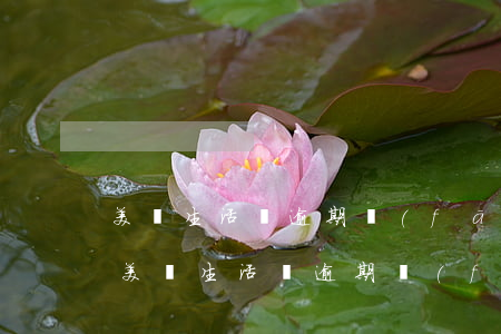 美團生活費逾期發(fā)信息怎么投訴-美團生活費逾期發(fā)信息怎么投訴他