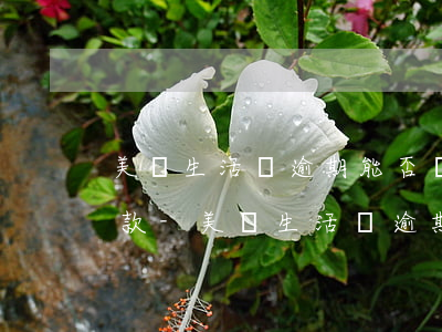美團生活費逾期能否協(xié)商延期還款-美團生活費逾期能否協(xié)商延期還款呢