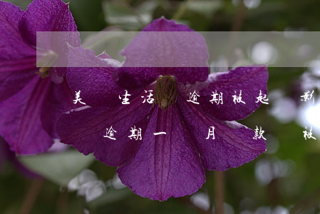美團生活費逾期被起訴影響工作嗎(美團生活費逾期一個月還款會被起訴嗎)