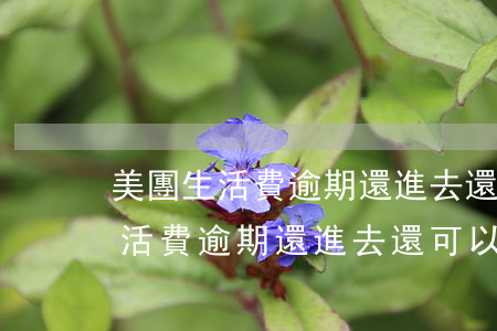 美團生活費逾期還進去還可以借嗎-美團生活費逾期還進去還可以借嗎安全嗎