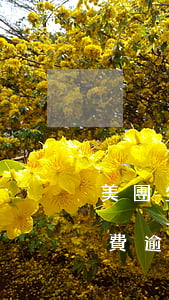 美團生活費逾期騷擾可以投訴嗎-美團生活費逾期騷擾可以投訴嗎知乎