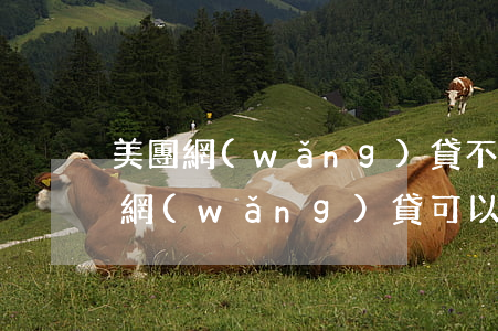 美團網(wǎng)貸不還會上征信嗎（美團網(wǎng)貸可以欠多久）